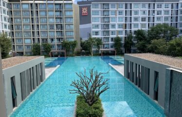 คอนโดเชียงใหม่ ห้องใหญ่ 2 นอน 2 น้ำ ห้องมุม โครงการคุณภาพ D Condo Sing Chiang Mai ส่วนกลางสุดปัง โซนเซ็นทรัลเฟสติวัลเชียงใหม่ ในราคาไม่เกิน 4 ล้านบาท